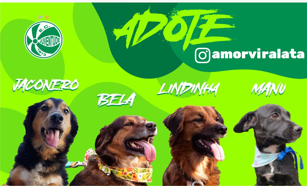 Juventude promoverá ação com cães da ONG Amor Vira-Lata
